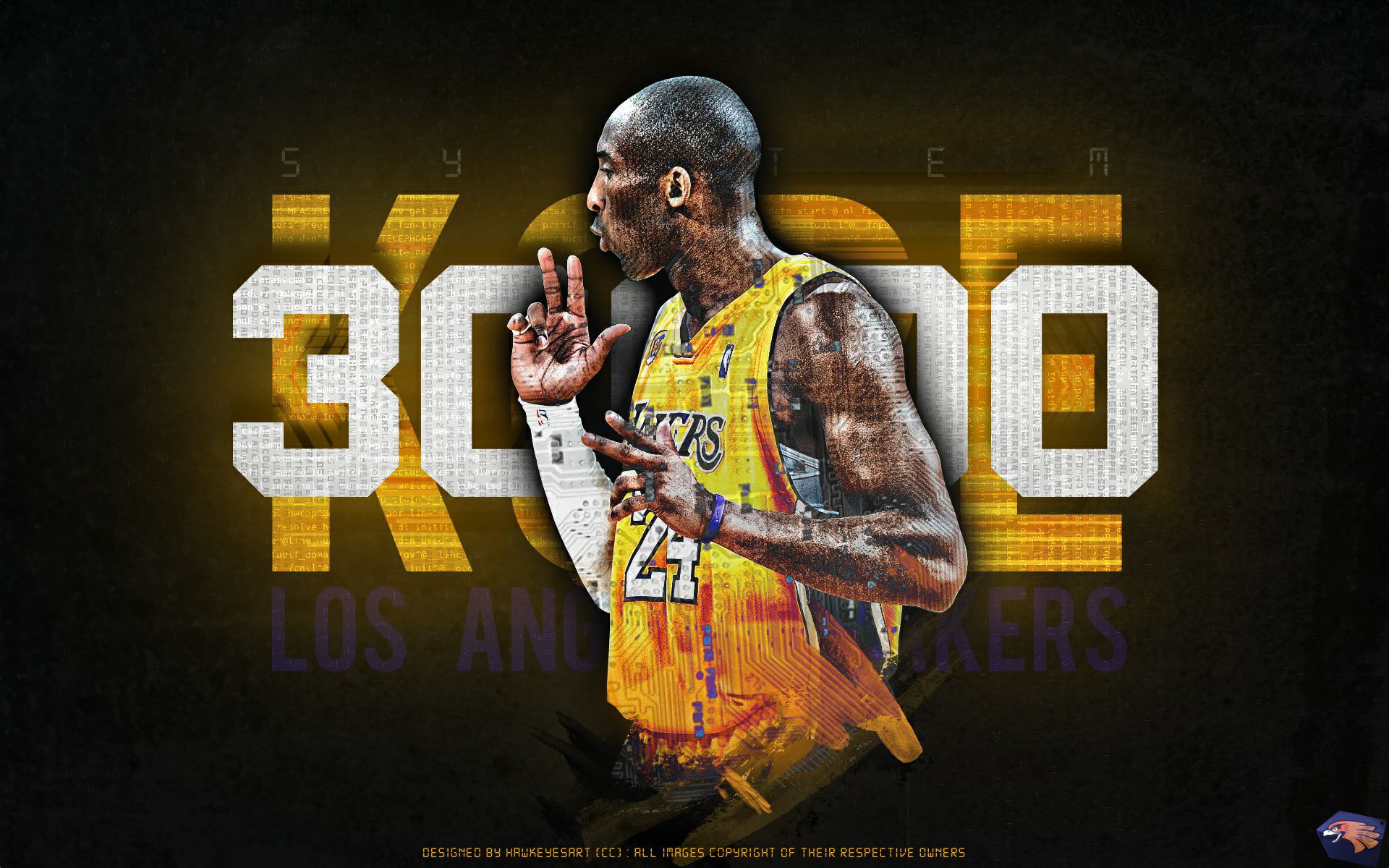 全国武术锦 全国武术锦